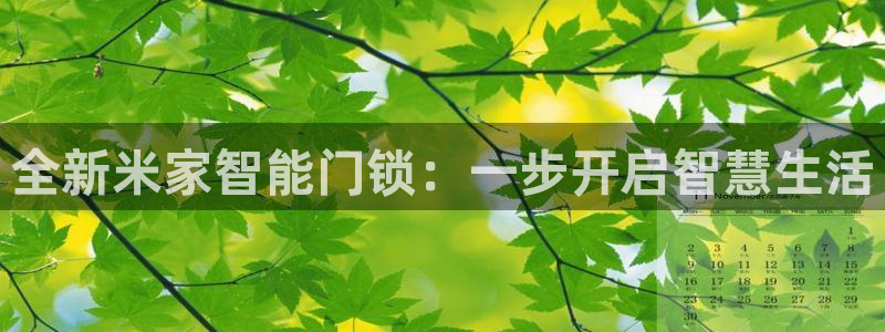 金年会是正规平台吗：全新米家智能门锁：一步开启智慧生活