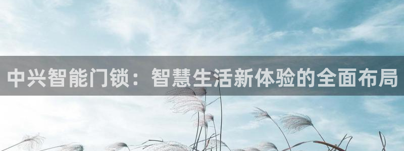 金吉年会：中兴智能门锁：智慧生活新体验的全面布局