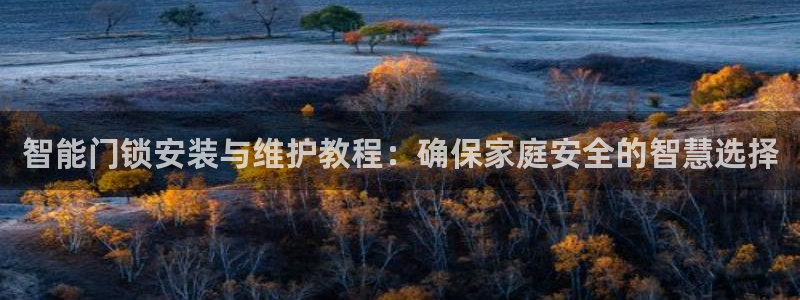 金年会APP安装下载：智能门锁安装与维护教程：确保家庭安全的