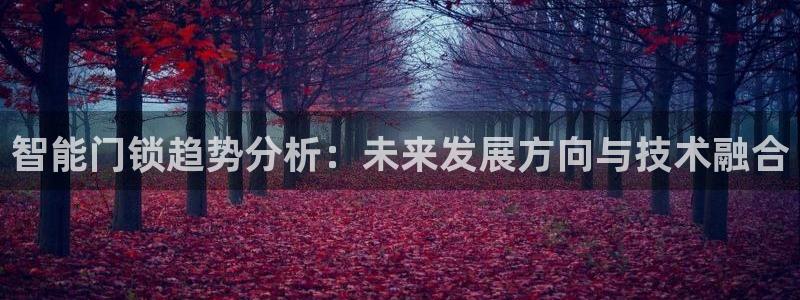 金年会官方体育登录入口：智能门锁趋势分析：未来发展方向与技术