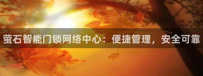 金年会官方入口：萤石智能门锁网络中心：便捷管理，安全可靠