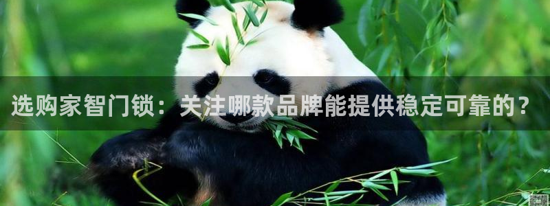 金年会下载：选购家智门锁：关注哪款品牌能提供稳定可靠的？