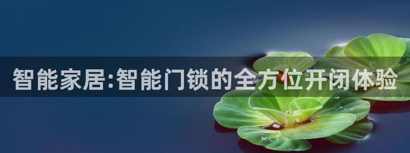 金年会活动策划：智能家居:智能门锁的全方位开闭体验