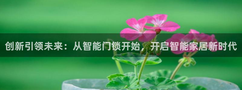 金年会体育官网在线：创新引领未来：从智能门锁开始，开启智能家