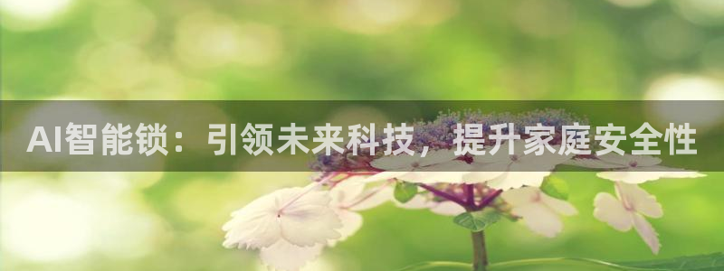 金年会18 28：AI智能锁：引领未来科技，提升家庭安全性