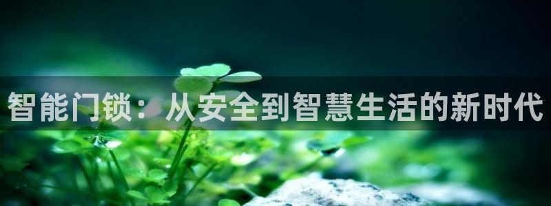 金年会娱乐和马竞：智能门锁：从安全到智慧生活的新时代