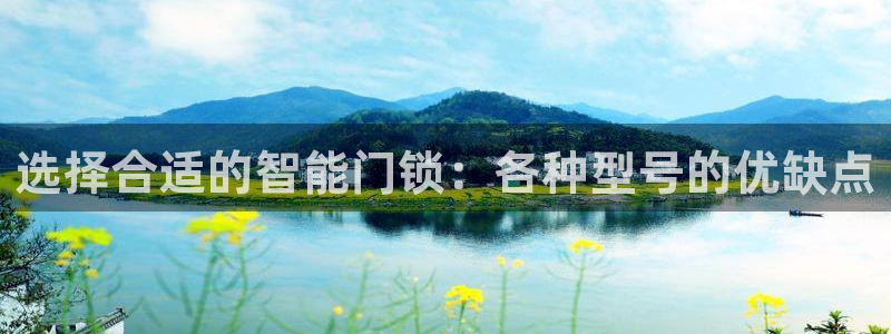 金年会最新登录：选择合适的智能门锁：各种型号的优缺点