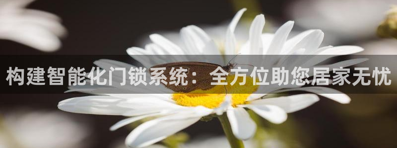 金帆年会2017：构建智能化门锁系统：全方位助您居家无忧