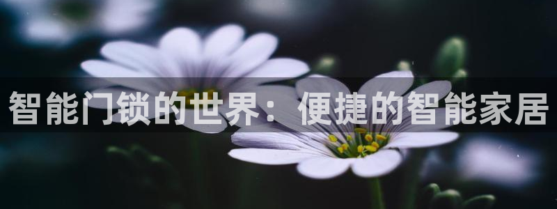 金年会活动：智能门锁的世界：便捷的智能家居