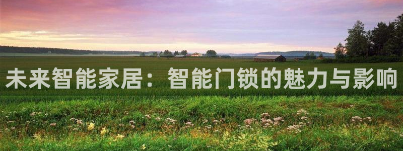 金年会娱乐官网：未来智能家居：智能门锁的魅力与影响
