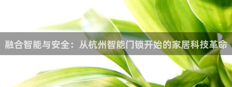 金年会体育官网在线：融合智能与安全：从杭州智能门锁开始的家居