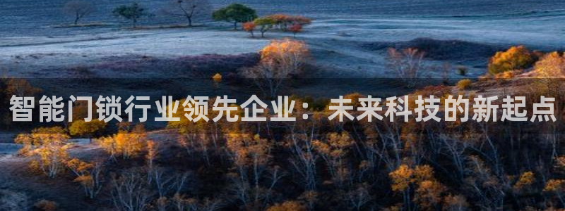 金年会是赌博的吗：智能门锁行业领先企业：未来科技的新起点