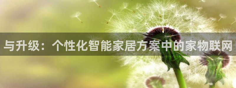 今年会金年会：与升级：个性化智能家居方案中的家物联网