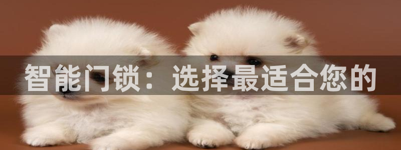 金年会登陆：智能门锁：选择最适合您的