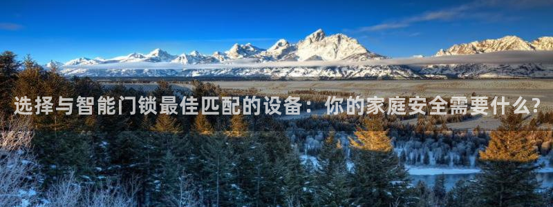 金年会平台包赔：选择与智能门锁最佳匹配的设备：你的家庭安全需