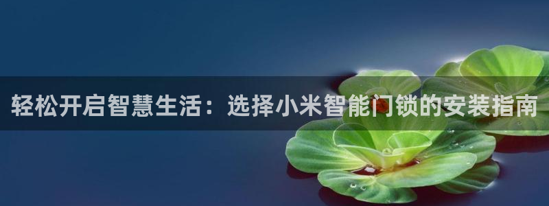 金年会登录入口：轻松开启智慧生活：选择小米智能门锁的安装指南