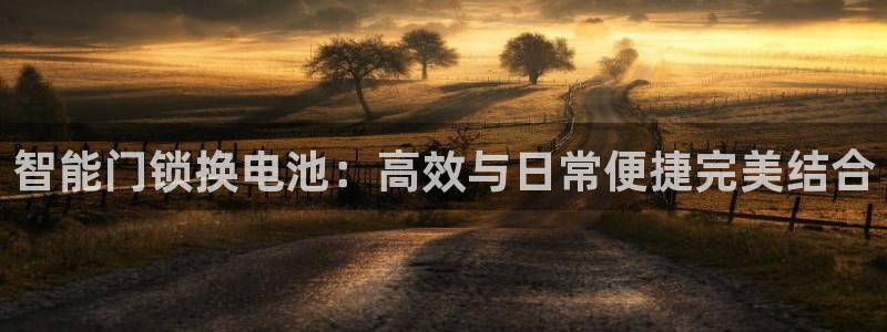 金年会能提款吗：智能门锁换电池：高效与日常便捷完美结合