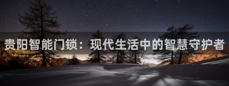 2022金年会：贵阳智能门锁：现代生活中的智慧守护者