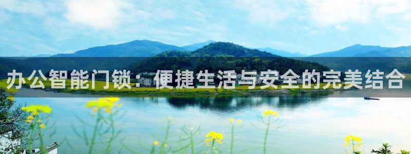 金年会手机网页版登录：办公智能门锁：便捷生活与安全的完美结合