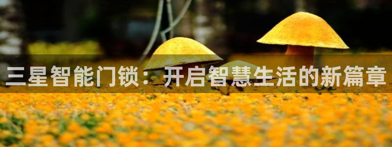金年会APP黑钱：三星智能门锁：开启智慧生活的新篇章