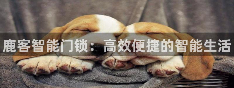 金年会吧