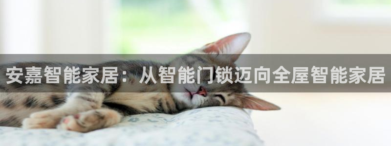 金年会平台登陆：安嘉智能家居：从智能门锁迈向全屋智能家居