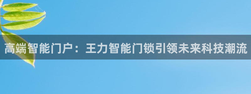 金年会体育苹果下载：高端智能门户：王力智能门锁引领未来科技潮