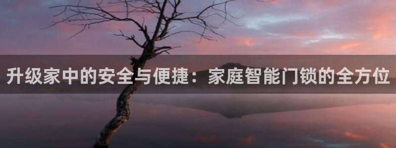 金年会原名：升级家中的安全与便捷：家庭智能门锁的全方位