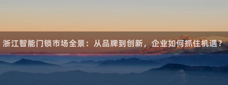 2022金年会：浙江智能门锁市场全景：从品牌到创新，企业如何