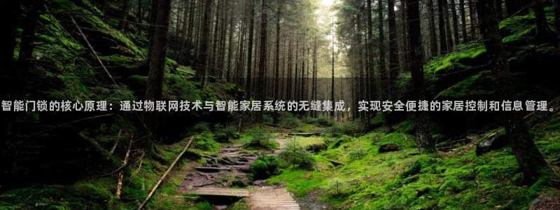 6766金年会：智能门锁的核心原理：通过物联网技术与智能家居