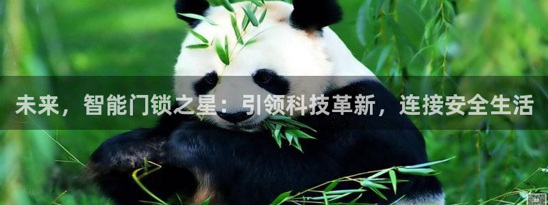 澳门金年会棋牌：未来，智能门锁之星：引领科技革新，连接安全生