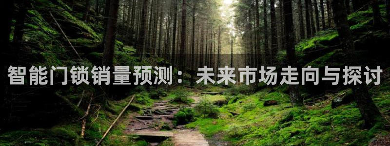 金年会APP黑钱：智能门锁销量预测：未来市场走向与探讨