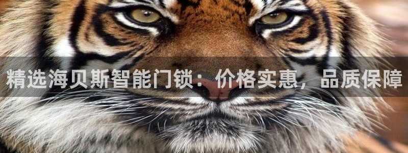 金年会体育平台在线登录：精选海贝斯智能门锁：价格实惠，品质保