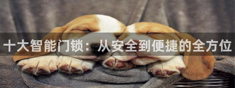 金年会活动：十大智能门锁：从安全到便捷的全方位