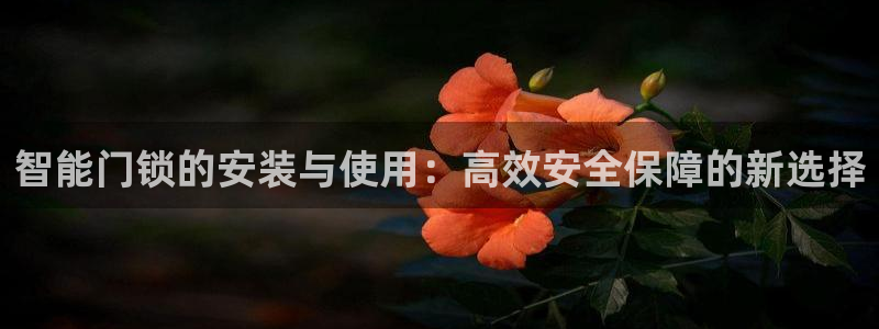 金年会赞助商：智能门锁的安装与使用：高效安全保障的新选择