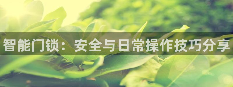 金立年会：智能门锁：安全与日常操作技巧分享