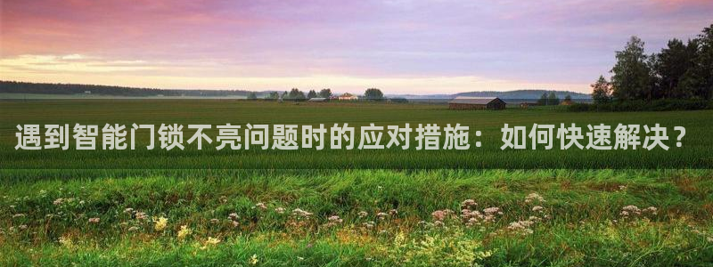 金年会赞助西甲：遇到智能门锁不亮问题时的应对措施：如何快速解