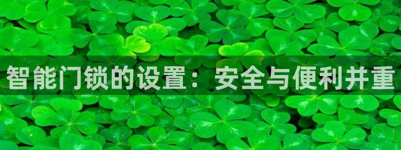 金年会app桌面：智能门锁的设置：安全与便利并重