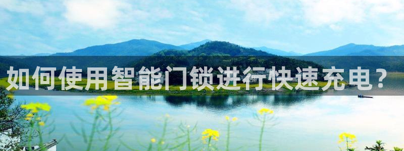 金年会推荐：如何使用智能门锁进行快速充电？