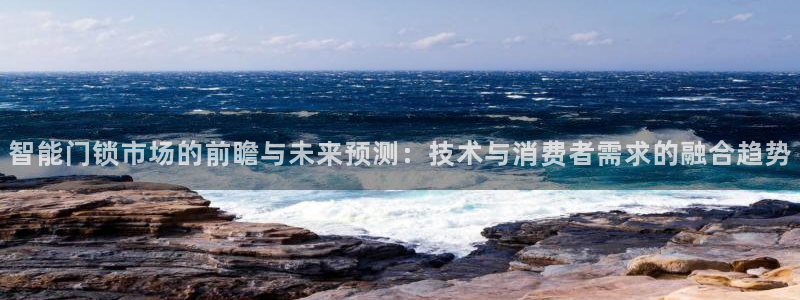 金年会在线入口：智能门锁市场的前瞻与未来预测：技术与消费者需