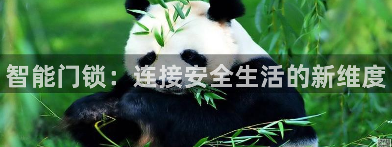 金年会平台：智能门锁：连接安全生活的新维度