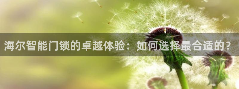 澳门娱乐金年会：海尔智能门锁的卓越体验：如何选择最合适的？