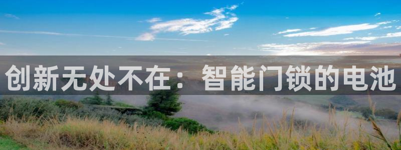 金年会娱乐：创新无处不在：智能门锁的电池