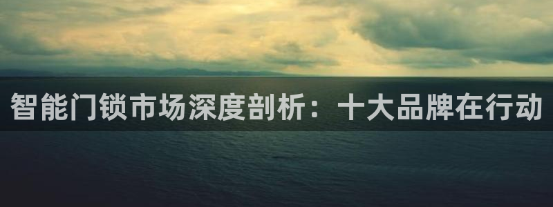 金年会和万博：智能门锁市场深度剖析：十大品牌在行动