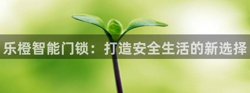 金年会金字招牌诚信至上：乐橙智能门锁：打造安全生活的新选择