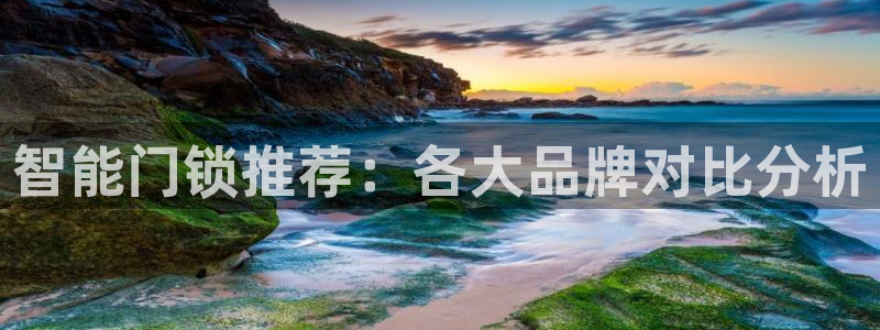 金年会平台登陆：智能门锁推荐：各大品牌对比分析