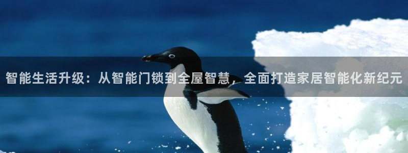 金年会体育官网在线：智能生活升级：从智能门锁到全屋智慧，全面