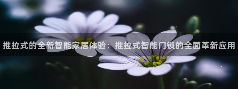 金年会是正规的吗：推拉式的全新智能家居体验：推拉式智能门锁的