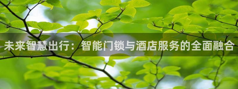 金年会体育官方下载：未来智慧出行：智能门锁与酒店服务的全面融