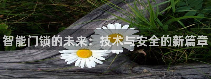 金年会官方客服电话：智能门锁的未来：技术与安全的新篇章